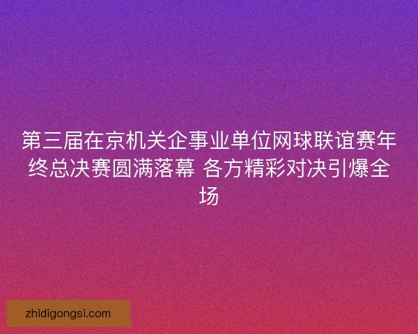 第三届在京机关企事业单位网球联谊赛年终总决赛圆满落幕 各方精彩对决引爆全场